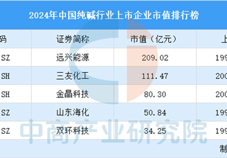 2024年中國純堿行業上市企業市值排行榜（附榜單）