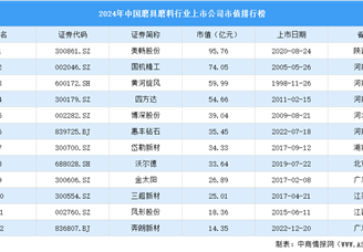 2024年中國磨具磨料行業上市公司市值排行榜（附榜單）