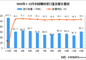 2024年12月中國鋼材進口數據統計分析：進口量小幅下降