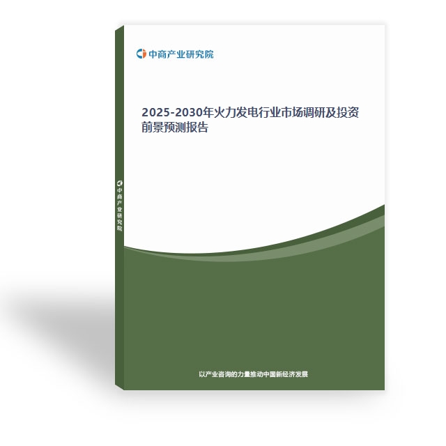 2025-2030年火力發電行業市場調研及投資前景預測報告