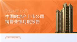 2024年12月中國房地產行業經濟運行情況月度報告
