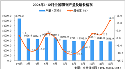 2024年12月全國粗鋼產量數據統計分析