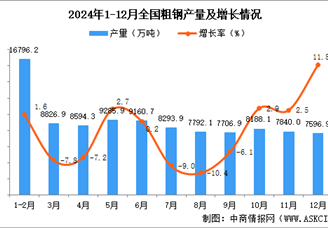 2024年12月全國粗鋼產量數據統計分析
