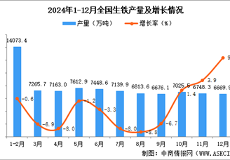 2024年12月全國生鐵產量數據統計分析