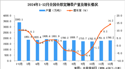 2024年12月全國中厚寬鋼帶產量數據統計分析