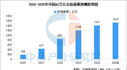 2025年中國AI芯片行業市場前景預測研究報告（簡版）