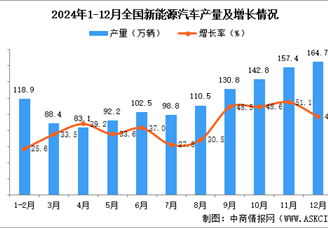 2024年12月全國新能源汽車產量數據統計分析