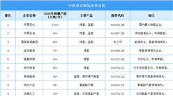 2025年中國制氫企業產能預測（圖）