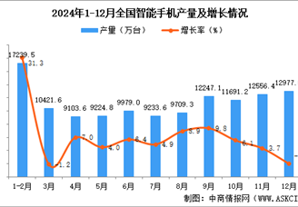 2024年12月全國智能手機產量數據統計分析
