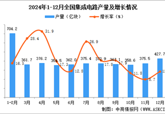 2024年12月全國集成電路產量數據統計分析