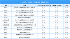 2025年2月24日全國各地最新白條豬價格行情走勢分析