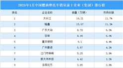 2025年1月中國燃油摩托車銷量前十企業（集團）排行榜（附榜單）