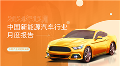 2024年12月中國新能源汽車行業月度報告（完整版）