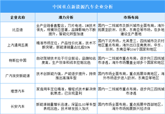 2025年中國新能源汽車企業潛力分析（圖）