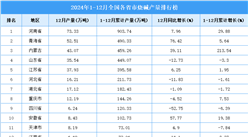 2024年全國各省市純堿產量排行榜