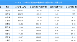 2024年全國各省市初級形態的塑料產量排行榜