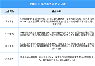 2025年中國液冷服務器企業業務布局對比分析（圖）