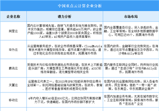 2025年中國云計算企業潛力分析（圖）