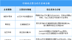 2025年中國算力芯片企業綜合競爭力分析（圖）