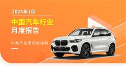 2025年1月中國新能源汽車行業月度報告（完整版）