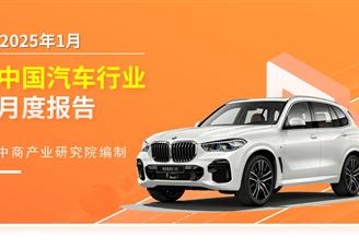 2025年1月中國新能源汽車行業月度報告（完整版）