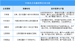 2025年中國負極材料企業綜合競爭力預測分析（圖）