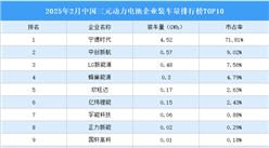 2025年2月中國三元動力電池企業裝車量排行榜TOP10（附榜單）