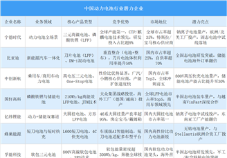 2025年中國動力電池行業潛力企業分析（圖）