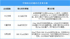 2025年中國存儲芯片重點企業業務布局分析（圖）