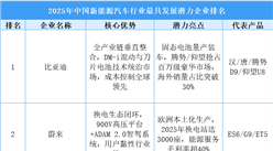 2025年中國新能源汽車行業最具發展潛力企業排名
