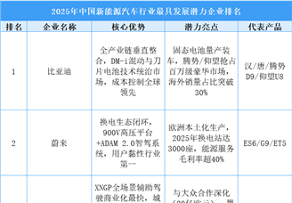 2025年中國新能源汽車行業最具發展潛力企業排名
