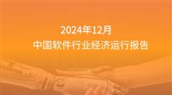 2024年1-12月中國軟件行業經濟運行報告（附全文）