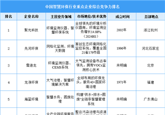 2025年中國智慧環保行業重點企業綜合競爭力排名（圖）