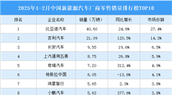 2025年1-2月中國新能源汽車廠商零售銷量排行榜TOP10（附榜單）