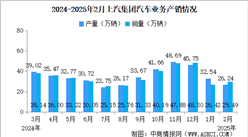 2025年2月上汽集團產銷情況：新能源汽車銷量同比增長41.27%（圖）