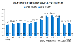 2025年2月比亞迪產銷情況：銷量同比增長164%（圖）