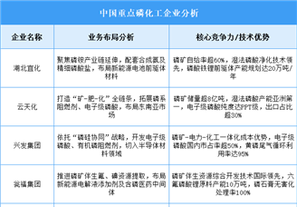 2025年中國磷化工重點企業業務布局分析（圖）