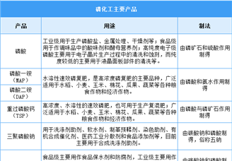 2025年中國磷化工行業市場前景預測研究報告（簡版）