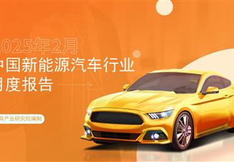 2025年2月中國新能源汽車行業月度報告（完整版）