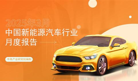 2025年3月中国新能源汽车行业月度报告（完整版）