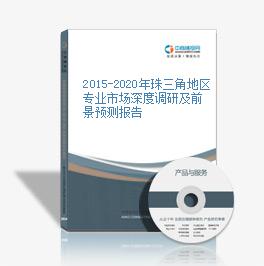 2015-2020年珠三角地區專業市場深度調研及前景預測報告