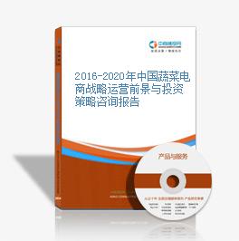 2016-2020年中國蔬菜電商戰略運營前景與投資策略咨詢報告