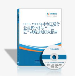 2016-2020年水利工程行業發展分析與“十三五”戰略規劃研究報告