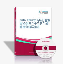 2016-2020年丙烯行業發展機遇及“十三五”戰略規劃指導報告