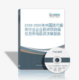 2016-2020年中國現代服務行業企業投資項目指引及市場投資決策報告