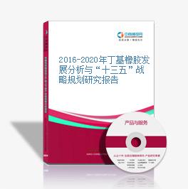 2016-2020年丁基橡膠發展分析與“十三五”戰略規劃研究報告