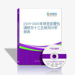 2015-2020年球籠修理包調研及十三五規劃分析報告