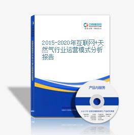 2015-2020年互聯網+天然氣行業運營模式分析報告