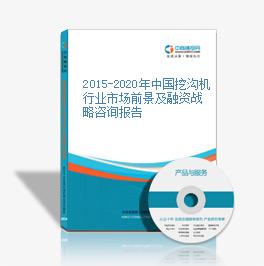 2015-2020年中國挖溝機行業市場前景及融資戰略咨詢報告