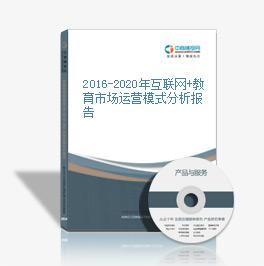 2016-2020年互聯網+教育市場運營模式分析報告